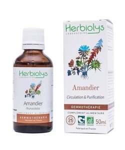 Almond tree (prunus amygdalus) - fresh buds BIO, 50 ml